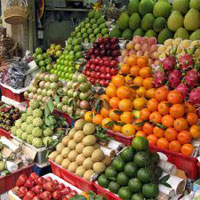 Food Grains & Cereals