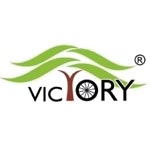 Victory Electric Vehicles International Limited