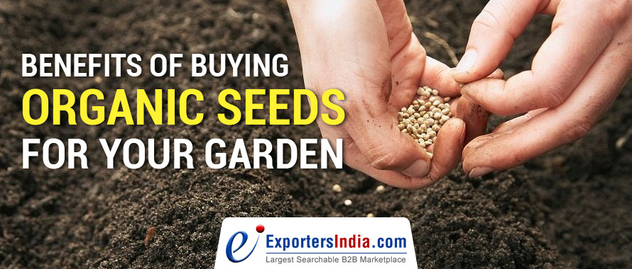 Benefits of Buying Organic Seeds for Your Garden